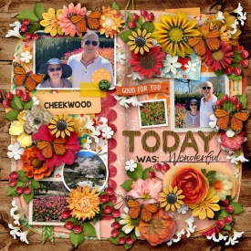 Gallery-Today-was-Wonderful.jpg
