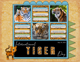 International-Tiger-Day.jpg