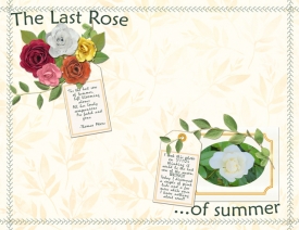 July-19---Yahtzee---The-Last-Rose-of-Summer.jpg