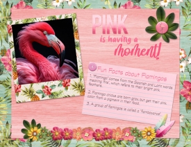 July-3---Scattergories---Pink-is-Having-a-Moment.jpg