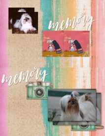 Memory1.jpg