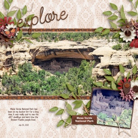 MesaVerde0721web.jpg