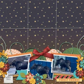 Moose-at-Riverside-Web-SS.jpg
