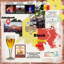 Nationale_Feestdag_21_Juli_700-700.jpg