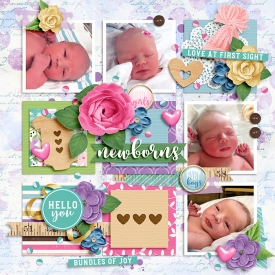 Newborns.jpg