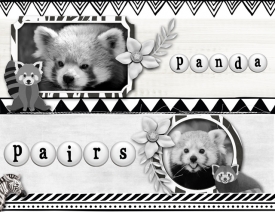 Panda-Pairs1.jpg