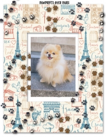 Pawprints-over-Paris.jpg