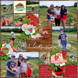 StrawberryPickin24web.jpg