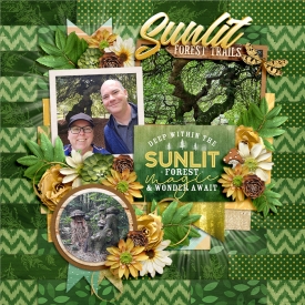 SunlitForestTrailsweb.jpg