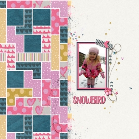 Tetris_Snowbird_600.jpg