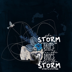The-Storm1.jpg