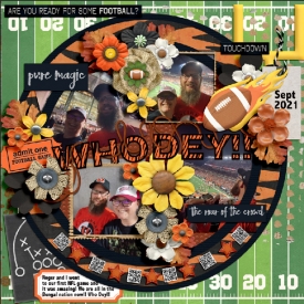 WhoDeyweb.jpg