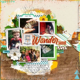 Wonderland3.jpg