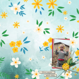 bg_dailydoseofhappy_pp12_Custom_.jpg