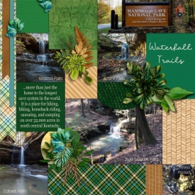 dsi_wanderer-onewithnature_paper17_Custom_.jpg