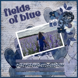 fields_of_blue_600.jpg