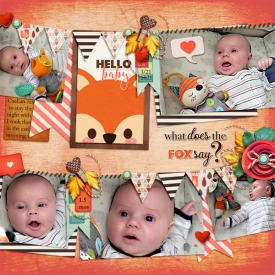 hello-fox-caelian-small.jpg