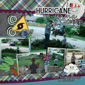 irma-cleanup.jpg