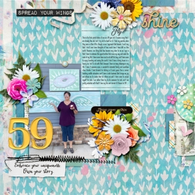 riverrose-sd-FlyWithoutFear-lorigaudWEB.jpg