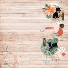 ki_familypet_example-kris-preview.jpg