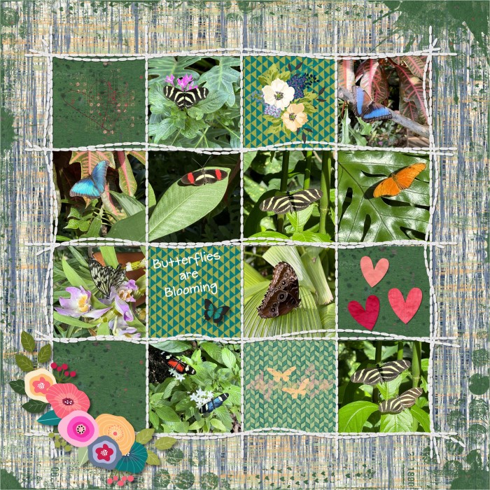 022424_Butterflies_-_Page_003_700