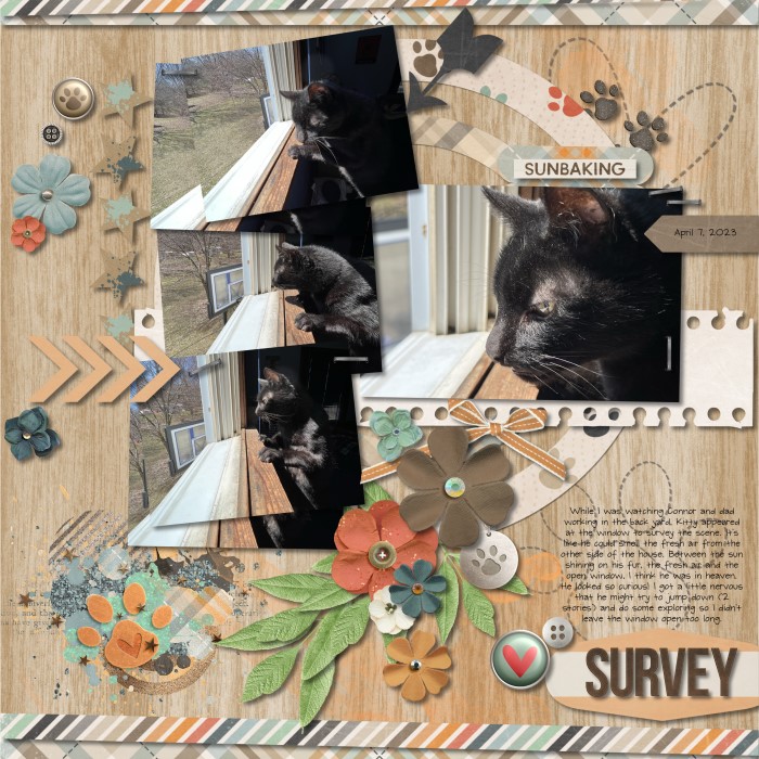 040723_Kitty_Window_700