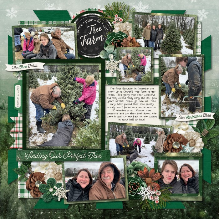 120223_Tree_farm_700