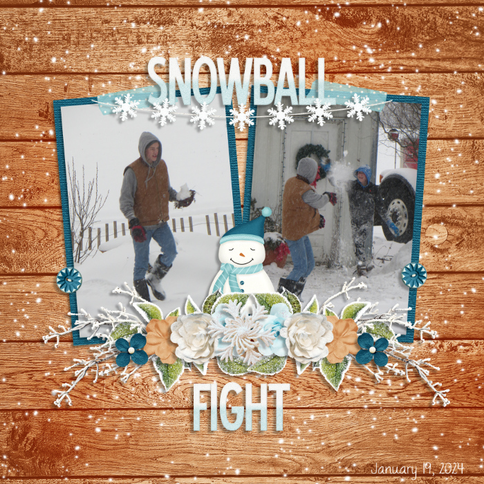 Snowball Fight