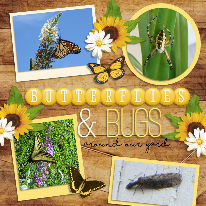2024_May-Gifts_From_the_Garden-_Bees_Butterflies_Bugs