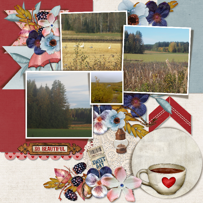A_sweet_day