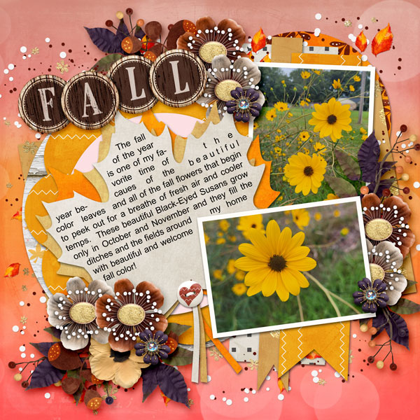 Black-Eyed-Susans