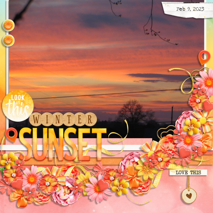 CYOA-June_2024-National_Outdoors_Month-Trail_of_Elements