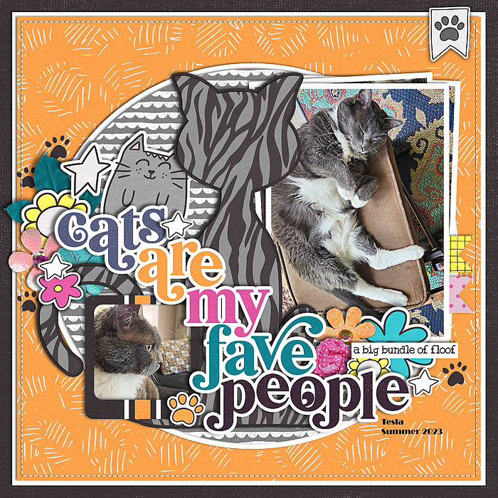 CatsAreMyFave