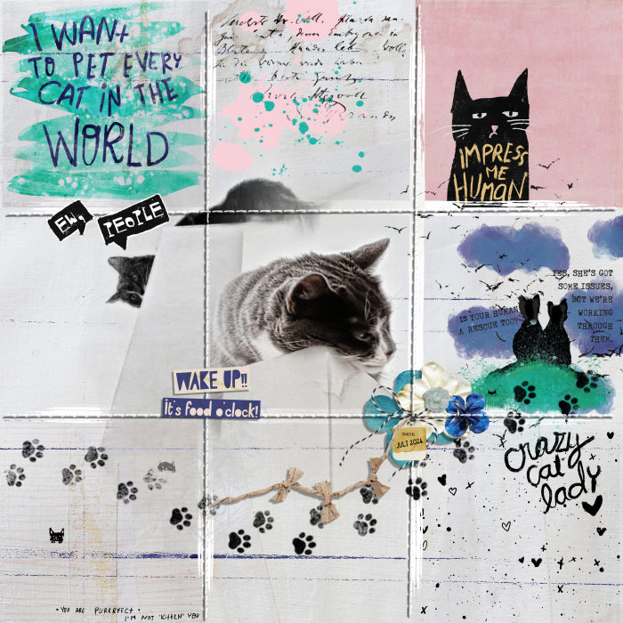 Cats_700-700