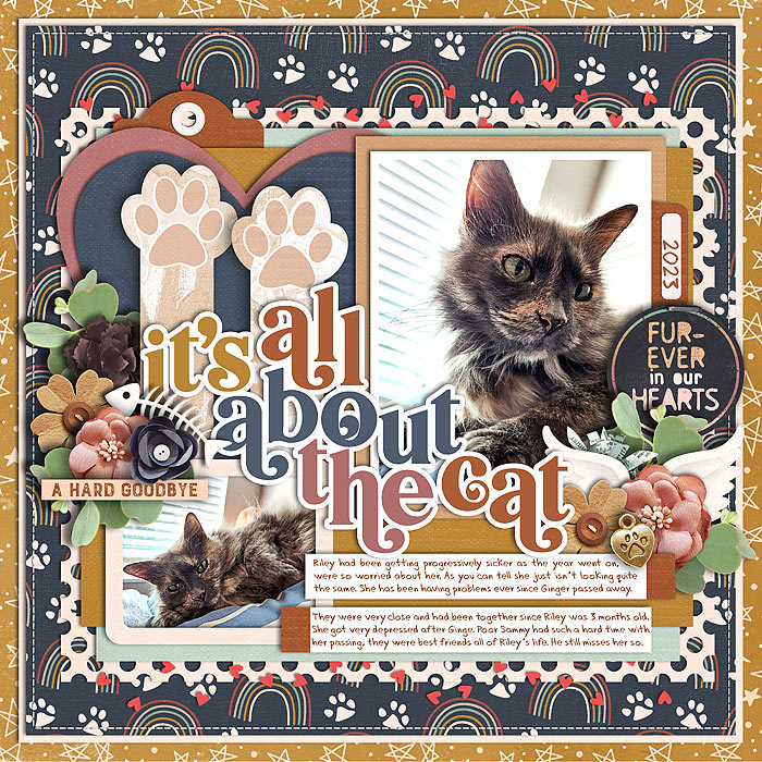 ItsAllAbouttheCat
