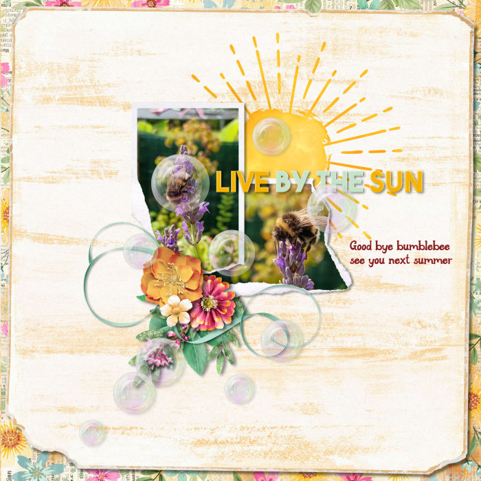Live_by_the_sun700-700