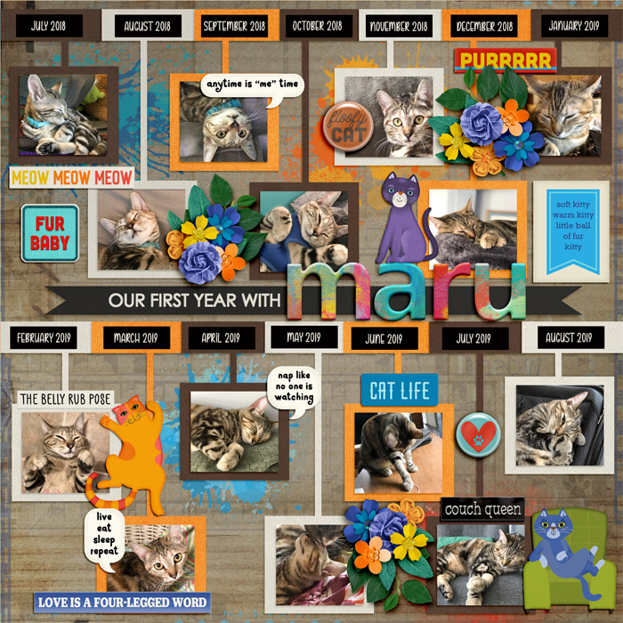 MaruYear1WEB