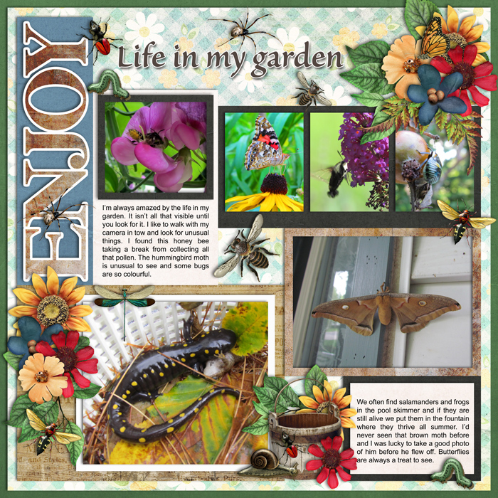 iNSD CYOA Challenge Path, Gifts from the garden