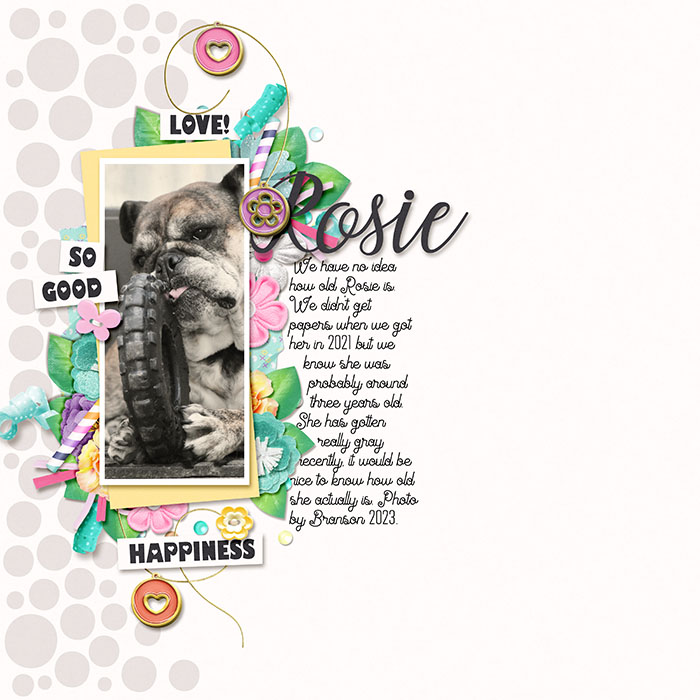 Rosie2