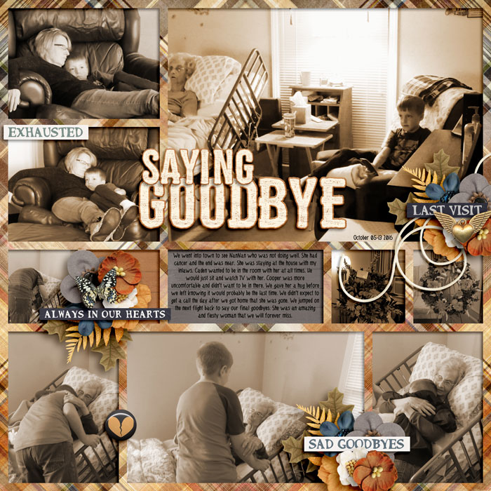 SayingGoodbyetoNanNan2016web