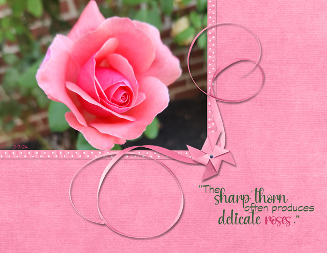 The-Sharp-Thorn