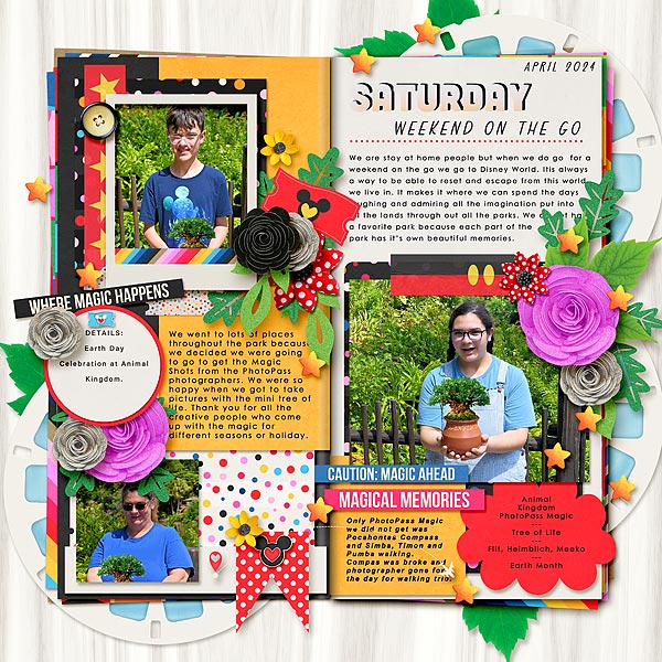 bmagee-singleton126-saturday_flergs_magicalVacationLO-copy