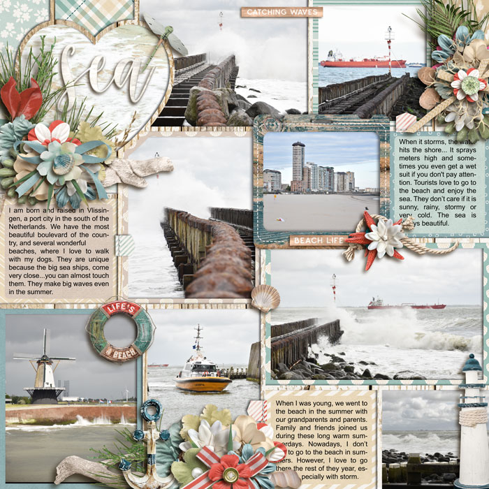 cschneider-AWYpg5---Ponytails-seaside-700