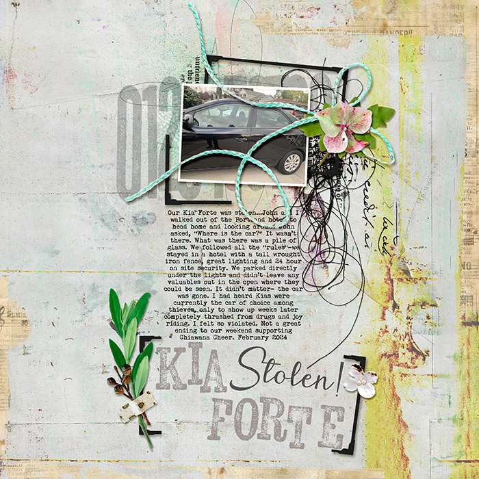 kia_forte_stolen