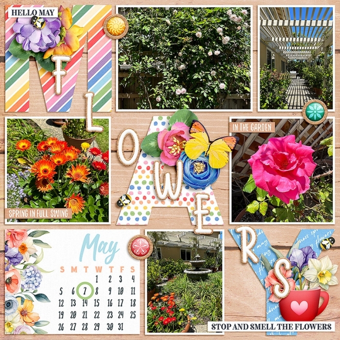 May Flowers