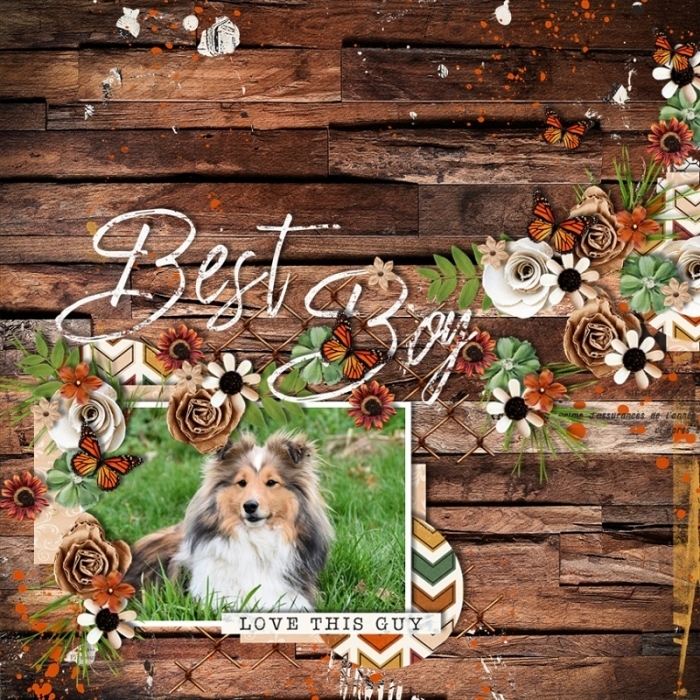 Best_Boy