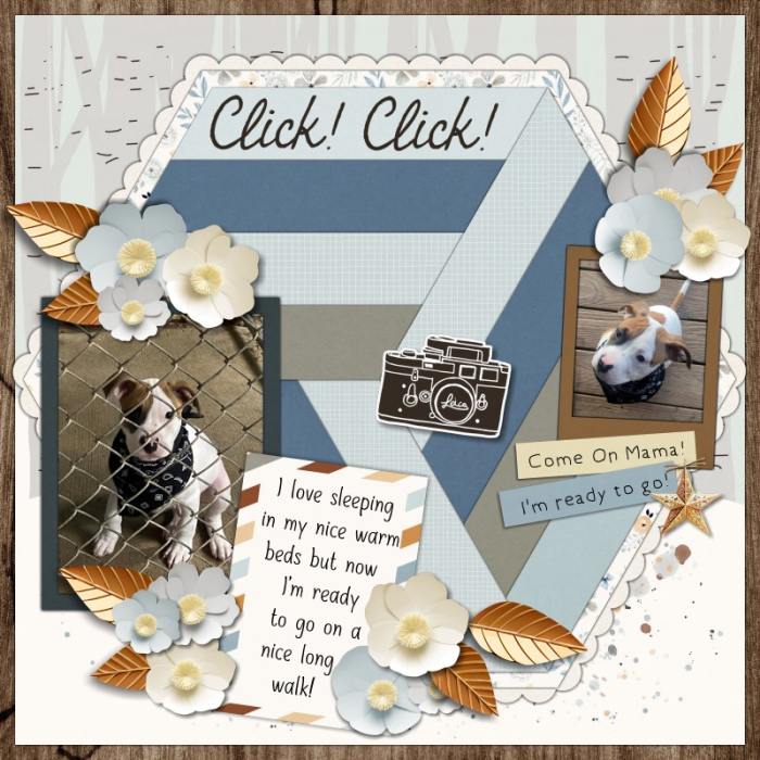 Click!  Click!