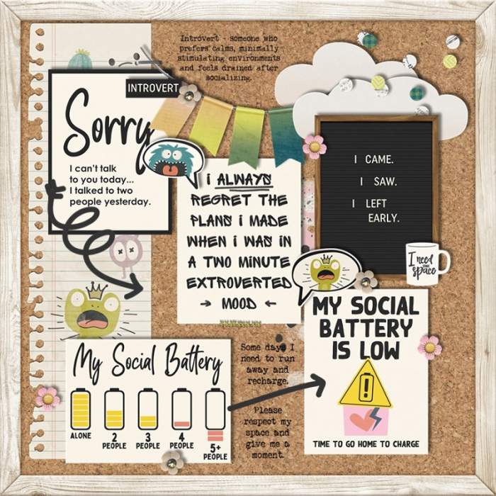 Introvert14