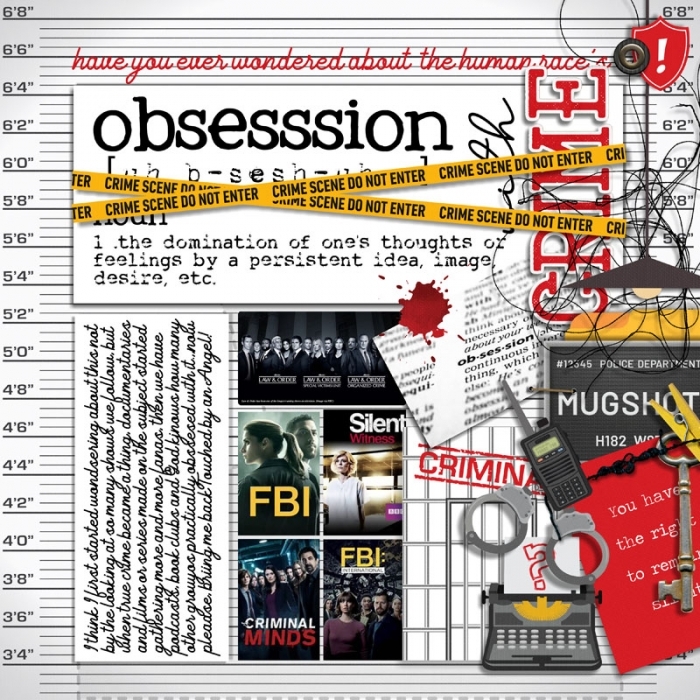 Dictionary Definiions : Obsession