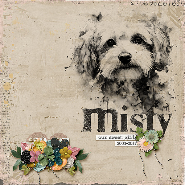 our-sweet-girl-misty
